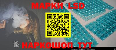 индика Пушкино