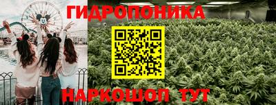 индика Пушкино