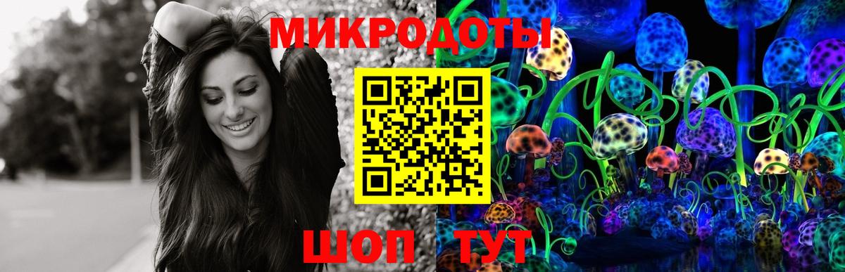 Псилоцибиновые грибы Psilocybine cubensis Отрадный